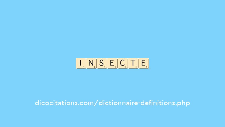insecte insecte
