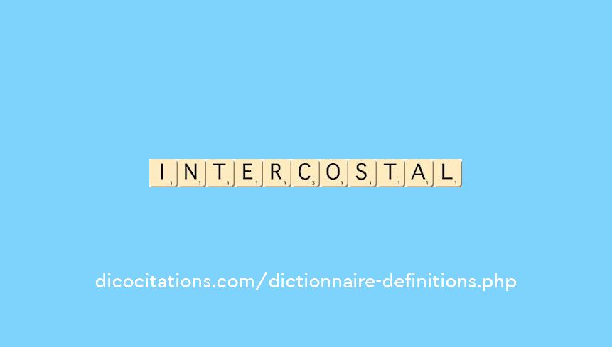intercostal intercostal