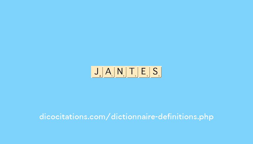 jantes jantes