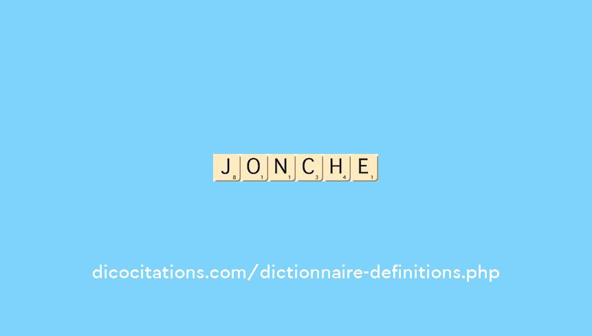 jonche jonche