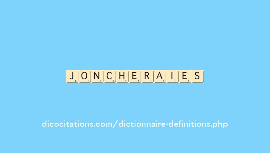 joncheraies joncheraies