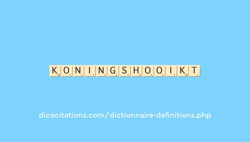 koningshooikt koningshooikt