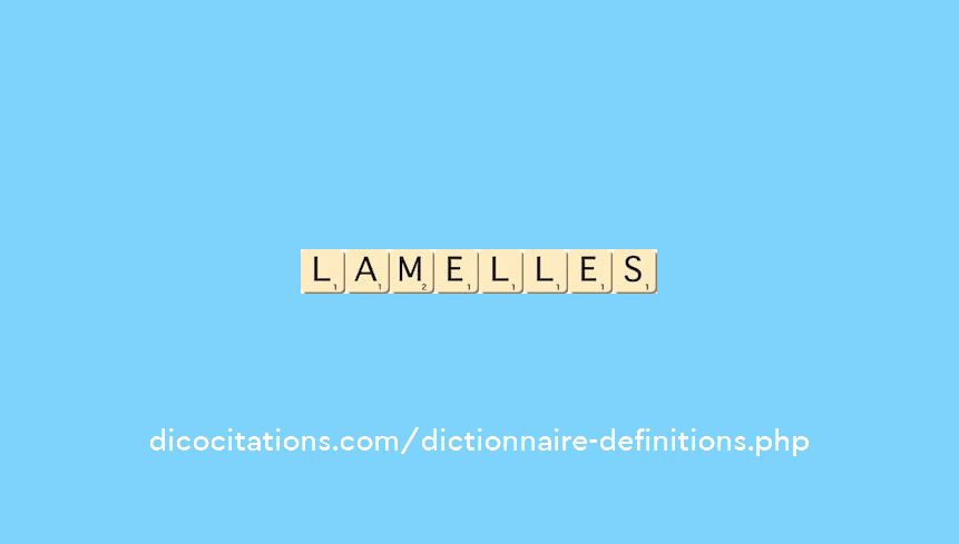 lamelles