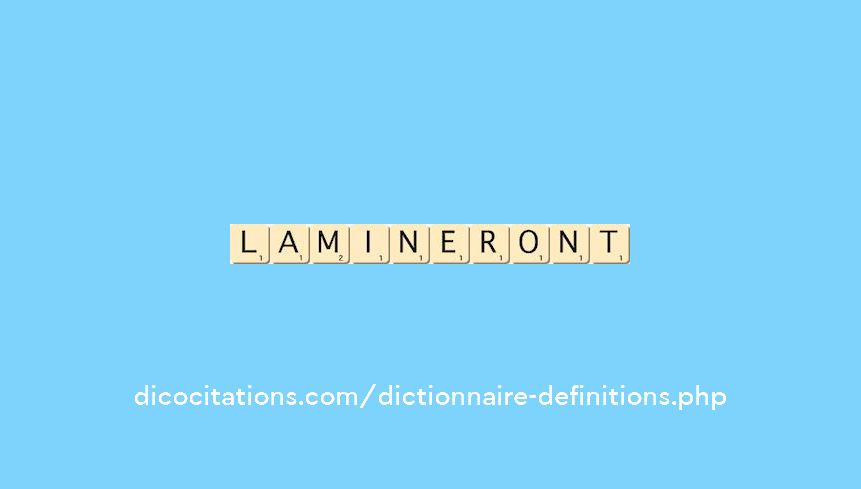 lamineront lamineront