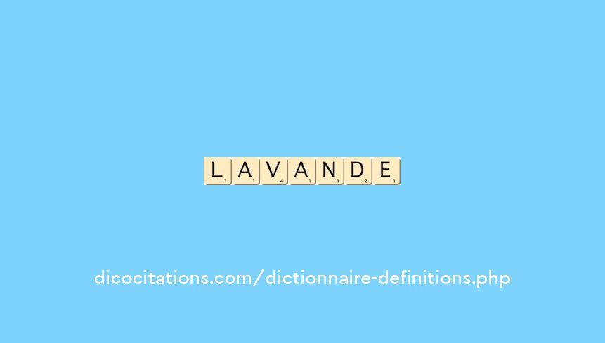 lavande