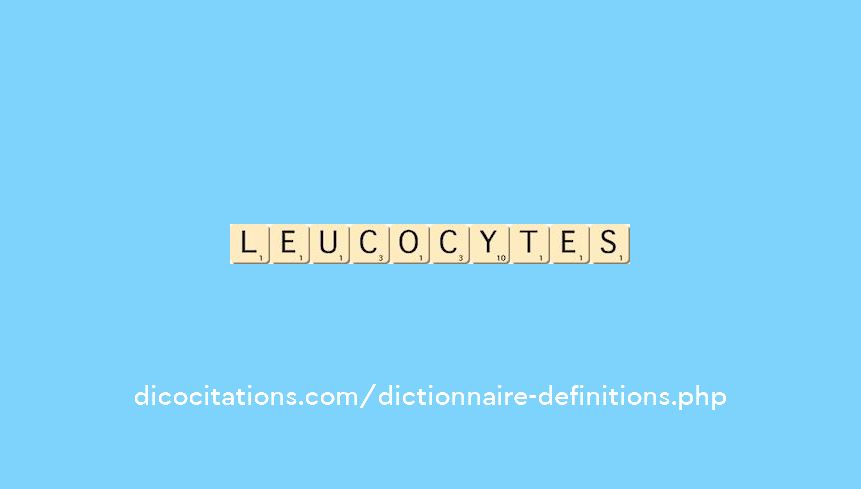 leucocytes leucocytes