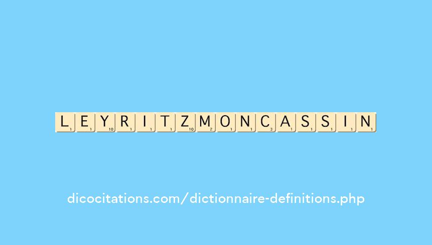 leyritz-moncassin