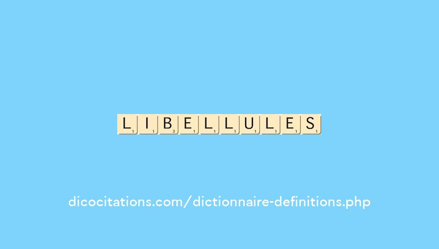 libellules libellules