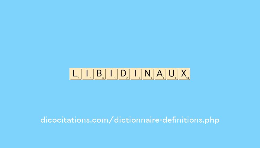 libidinaux libidinaux