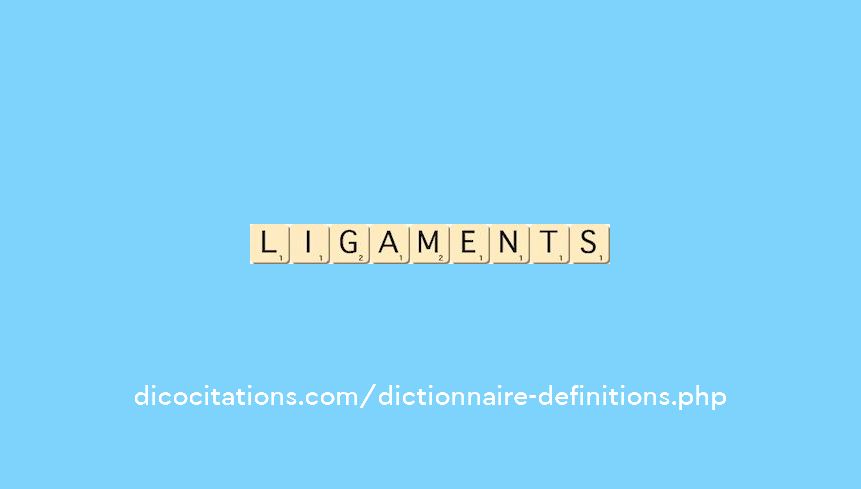 ligaments ligaments