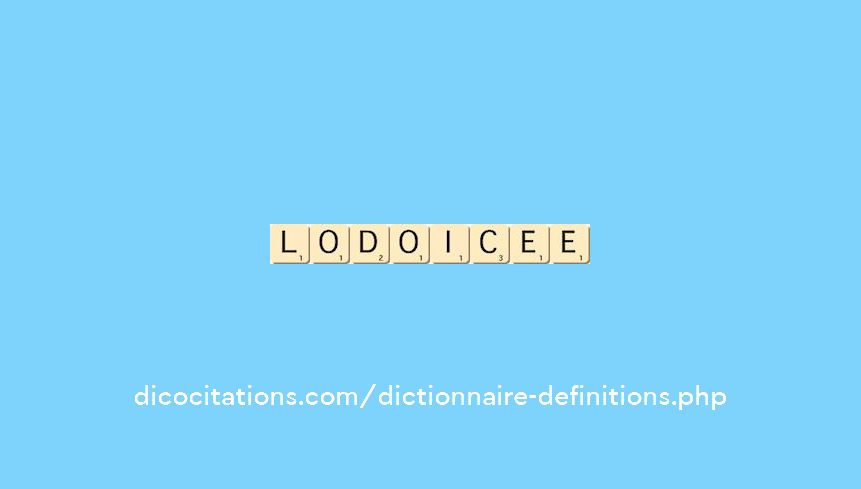 lodoicee