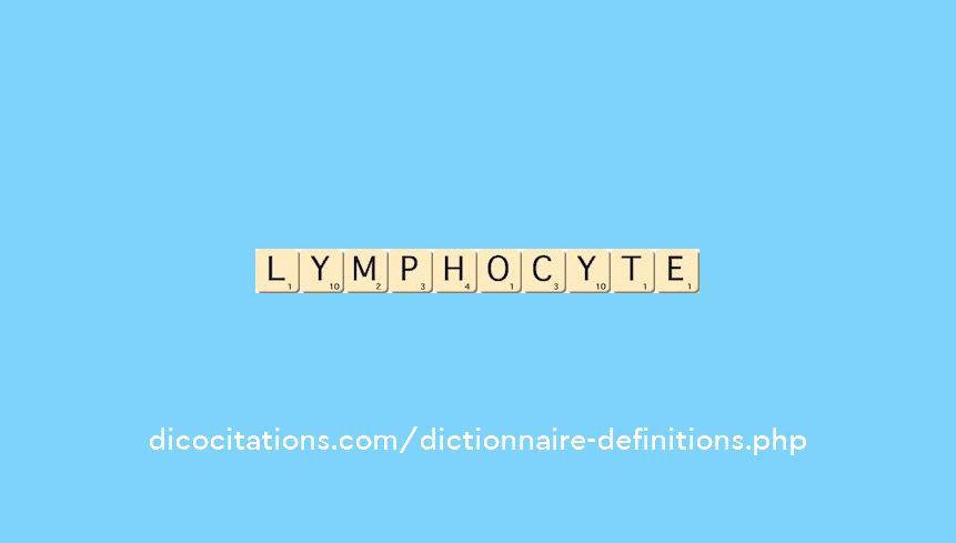 lymphocyte lymphocyte