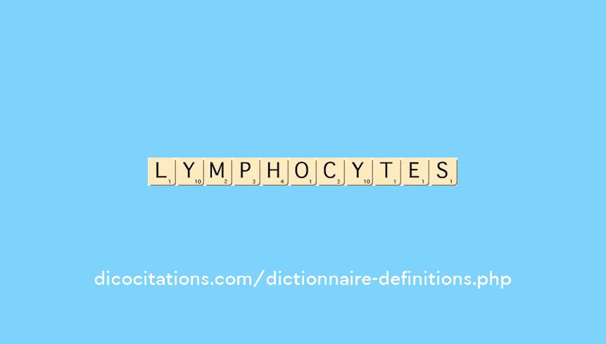 lymphocytes lymphocytes