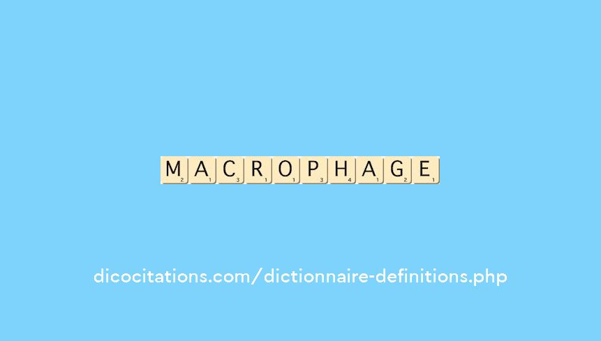 macrophage