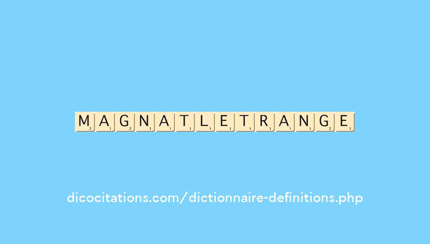 magnat-l-etrange
