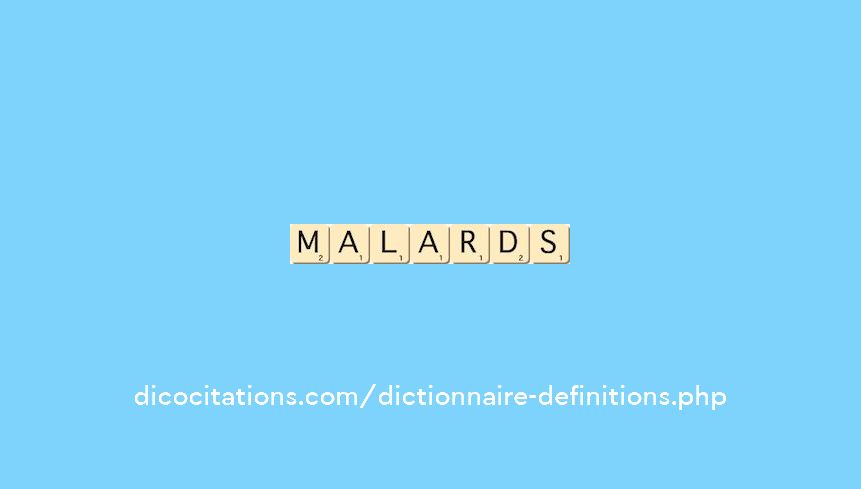 malards malards