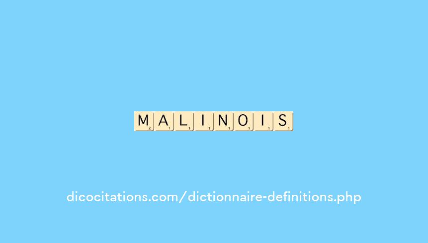 malinois