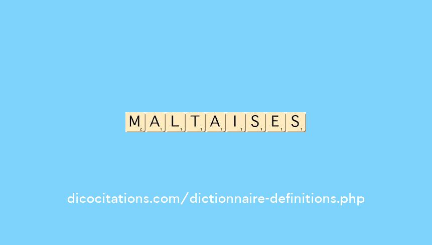 maltaises maltaises