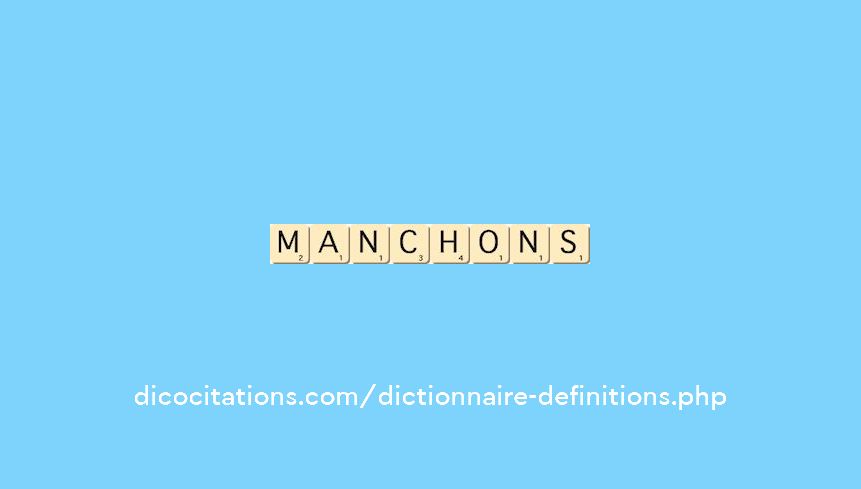 manchons manchons