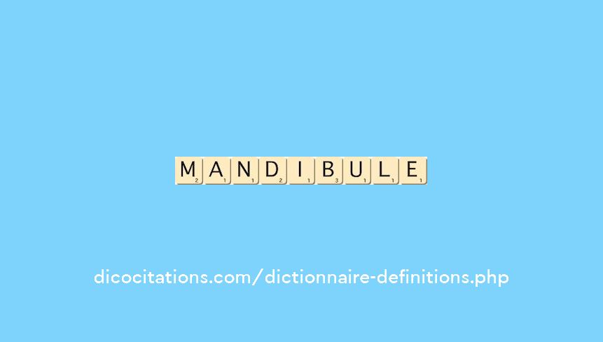 mandibule