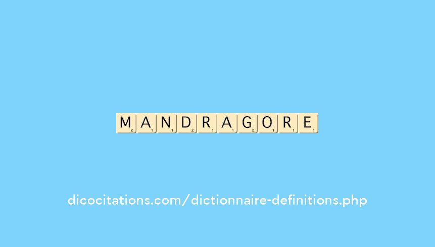 mandragore