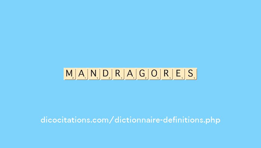mandragores mandragores