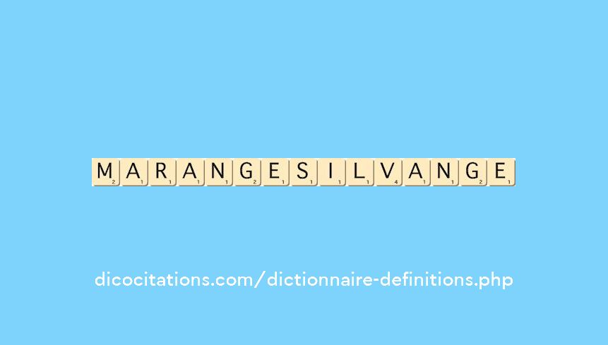 marange-silvange