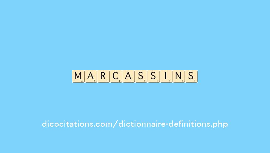 marcassins marcassins