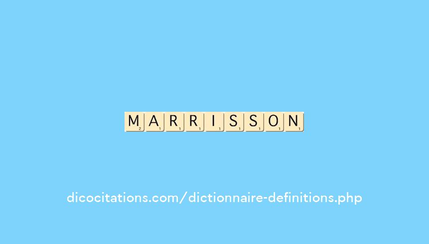 marrisson