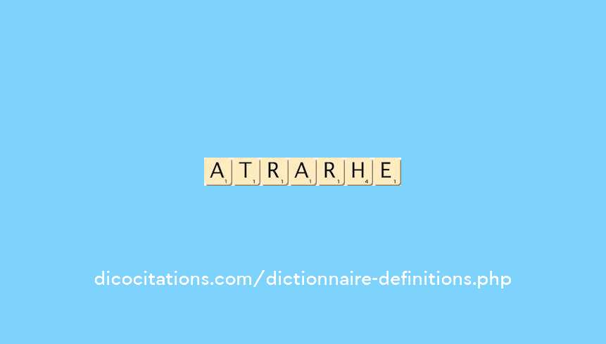 matriarche matriarche