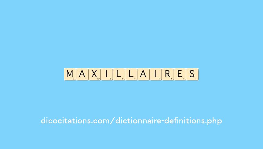maxillaires