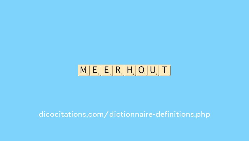 meerhout
