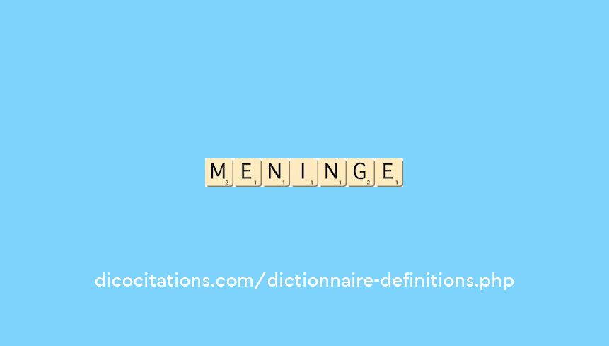 meninge