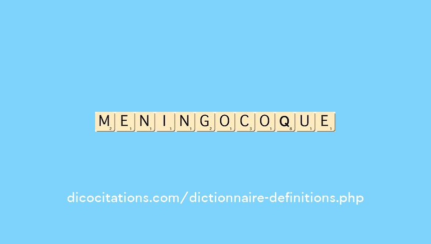 meningocoque meningocoque