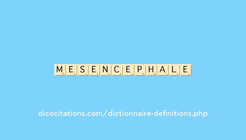 mesencephale mesencephale