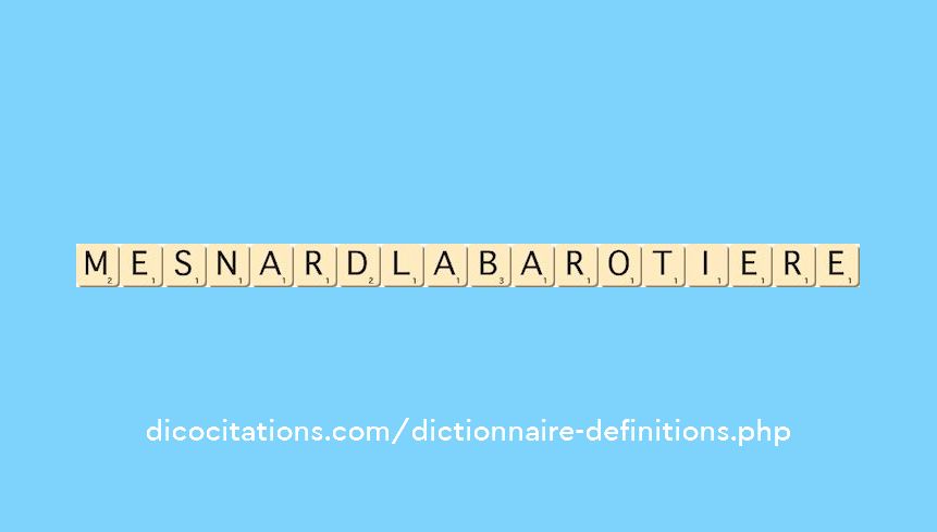 mesnard-la-barotiere