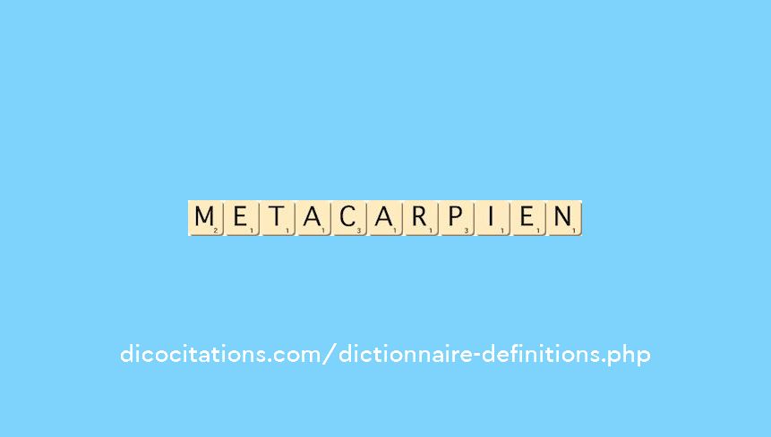 metacarpien metacarpien