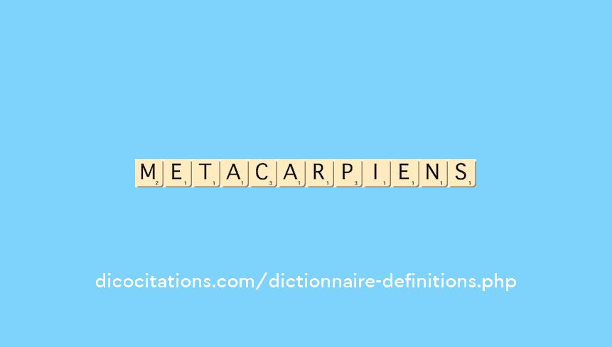 metacarpiens metacarpiens