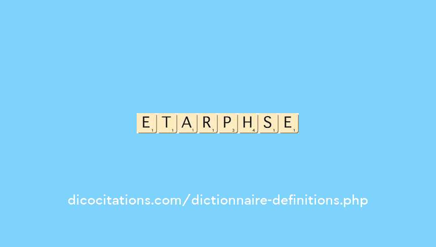 metamorphose metamorphose