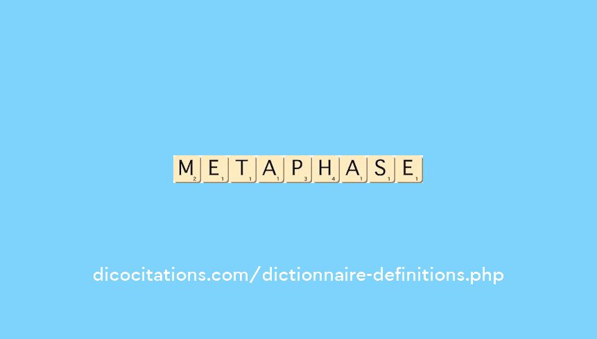 metaphase metaphase