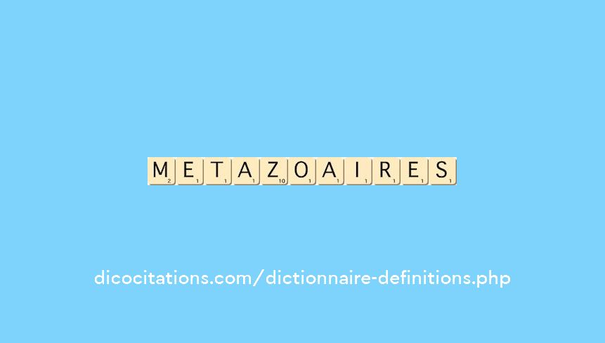 metazoaires