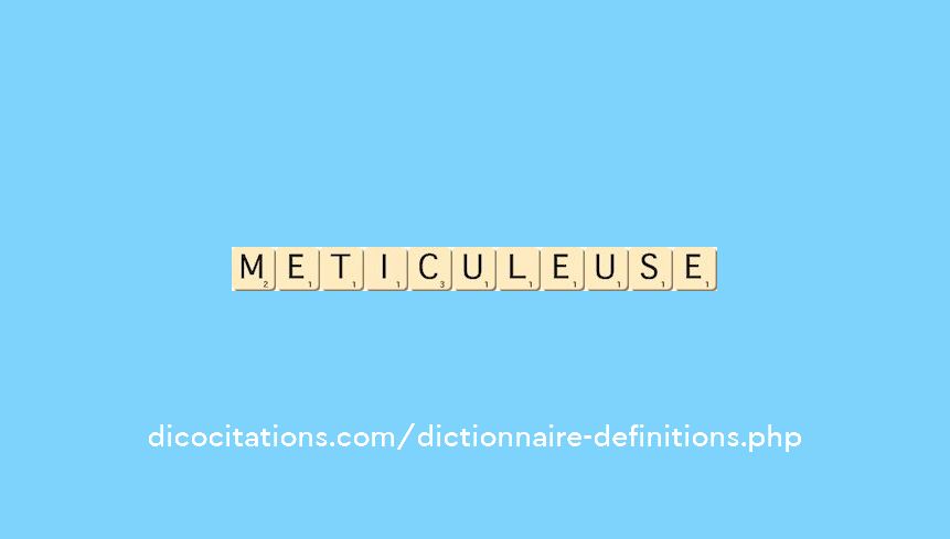 meticuleuse meticuleuse