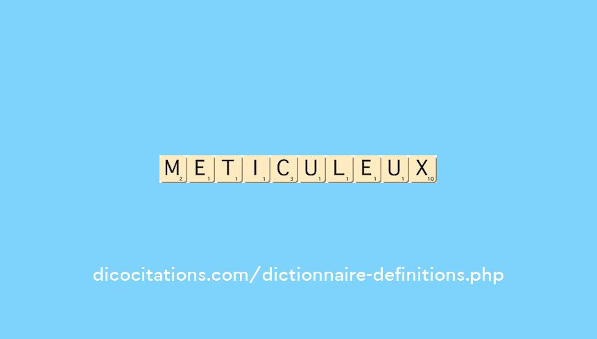 meticuleux meticuleux