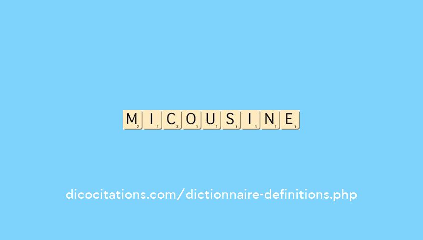 mi-cousine mi-cousine