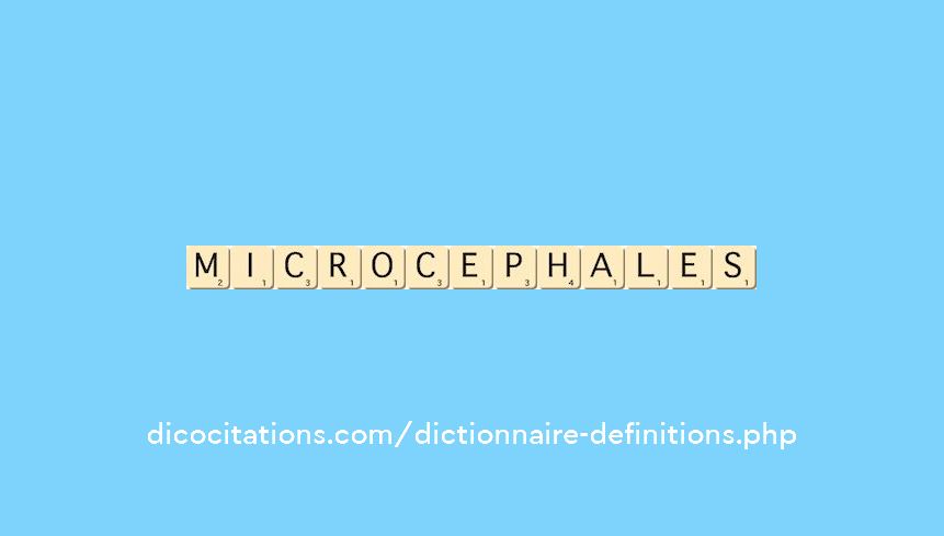 microcephales microcephales