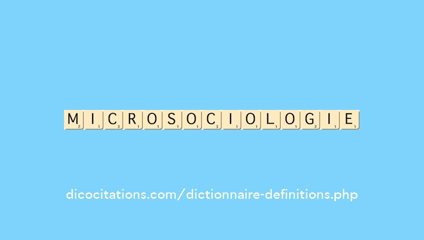microsociologie microsociologie