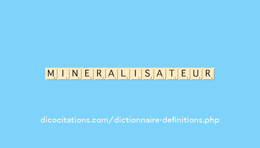 mineralisateur