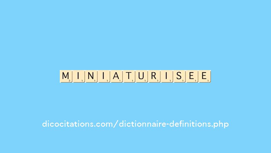 miniaturisee