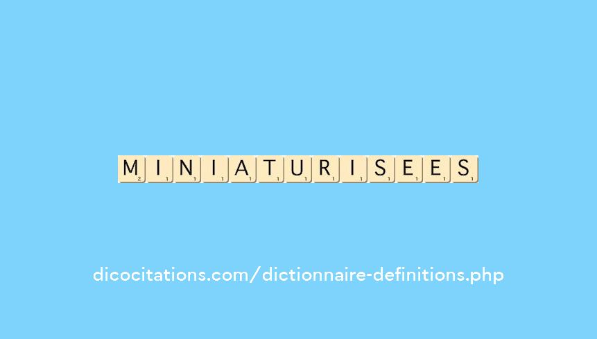 miniaturisees
