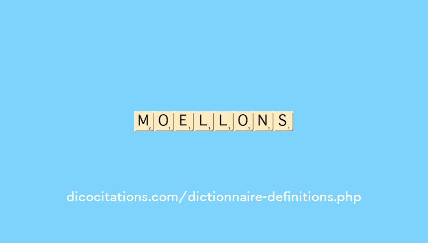 moellons moellons